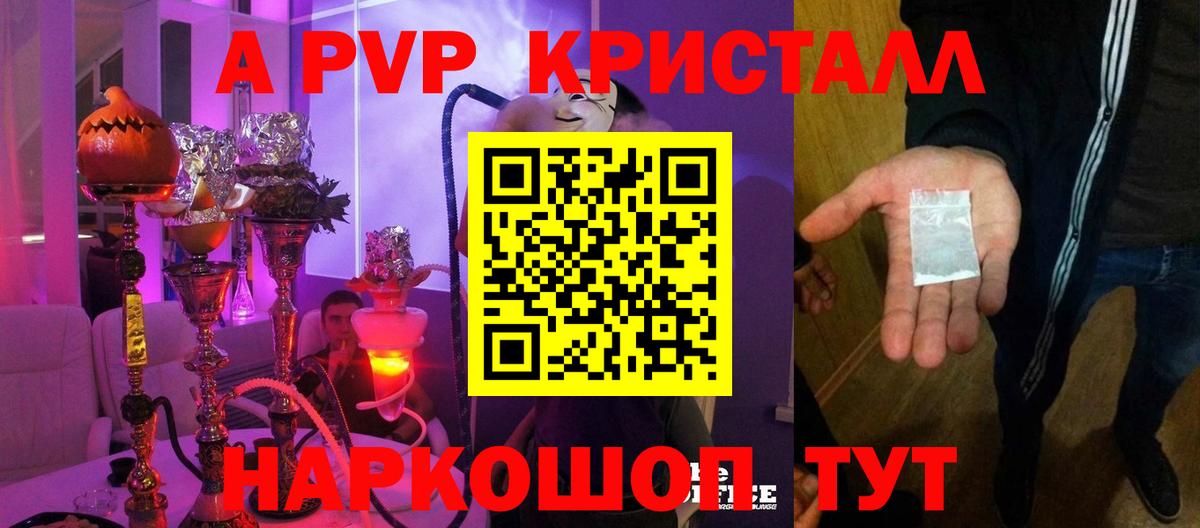 A PVP СК КРИС Котлас