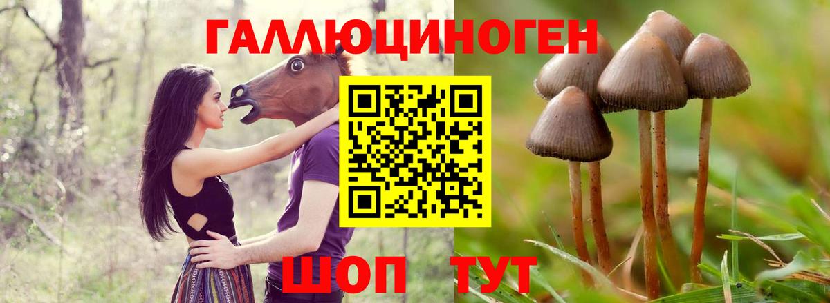 наркотики  Вход с VPN  Котлас  Галлюциногенные грибы MAGIC MUSHROOMS 